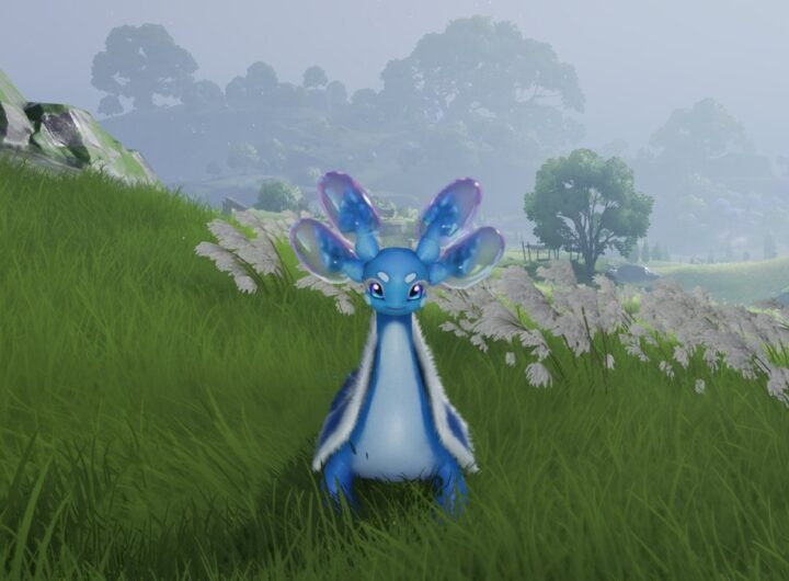 How to Catch and Evolve Glacy in Aniimo