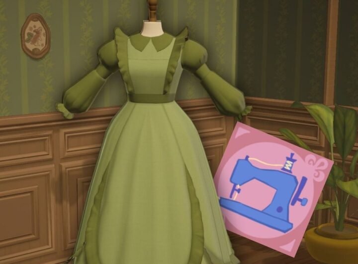 Perfect Your Dressmaker Dress: 100% Score Guide