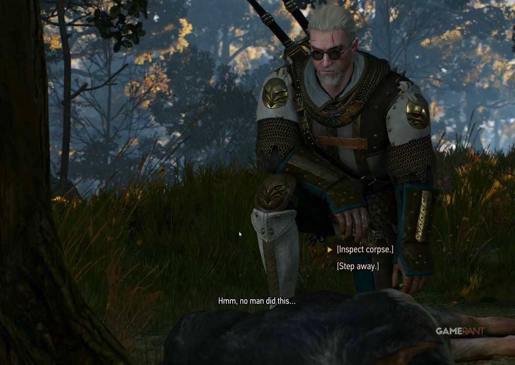 Witcher 3 Wild At Heart: Hannah Location and Quest Choices